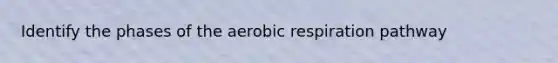 Identify the phases of the aerobic respiration pathway