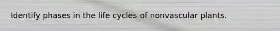 Identify phases in the life cycles of nonvascular plants.