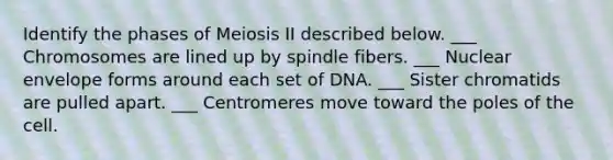 Identify the phases of Meiosis II described below. ___ Chromosomes are lined up by spindle fibers. ___ Nuclear envelope forms around each set of DNA. ___ Sister chromatids are pulled apart. ___ Centromeres move toward the poles of the cell.