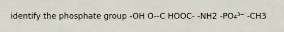 identify the phosphate group -OH O-C HOOC- -NH2 -PO₄³⁻ -CH3