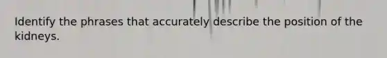 Identify the phrases that accurately describe the position of the kidneys.