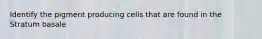 Identify the pigment producing cells that are found in the Stratum basale