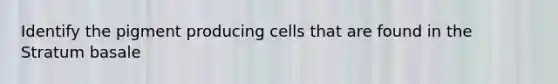 Identify the pigment producing cells that are found in the Stratum basale