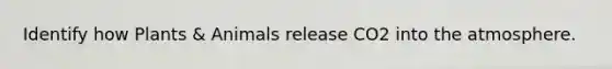 Identify how Plants & Animals release CO2 into the atmosphere.