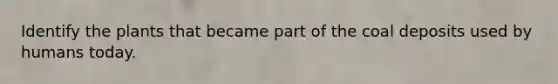 Identify the plants that became part of the coal deposits used by humans today.