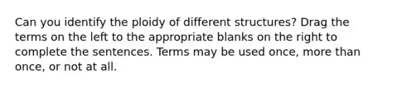 Can you identify the ploidy of different structures? Drag the terms on the left to the appropriate blanks on the right to complete the sentences. Terms may be used once, <a href='https://www.questionai.com/knowledge/keWHlEPx42-more-than' class='anchor-knowledge'>more than</a> once, or not at all.