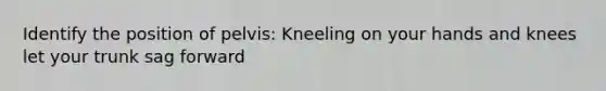 Identify the position of pelvis: Kneeling on your hands and knees let your trunk sag forward