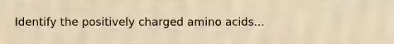 Identify the positively charged amino acids...