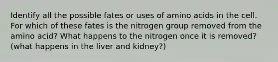 Identify all the possible fates or uses of amino acids in the cell. For which of these fates is the nitrogen group removed from the amino acid? What happens to the nitrogen once it is removed? (what happens in the liver and kidney?)