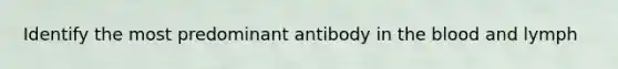 Identify the most predominant antibody in the blood and lymph