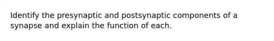 Identify the presynaptic and postsynaptic components of a synapse and explain the function of each.