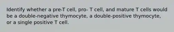 Identify whether a pre-T cell, pro- T cell, and mature T cells would be a double-negative thymocyte, a double-positive thymocyte, or a single positive T cell.