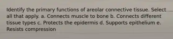 Identify the primary functions of areolar <a href='https://www.questionai.com/knowledge/kYDr0DHyc8-connective-tissue' class='anchor-knowledge'>connective tissue</a>. Select all that apply. a. Connects muscle to bone b. Connects different tissue types c. Protects <a href='https://www.questionai.com/knowledge/kBFgQMpq6s-the-epidermis' class='anchor-knowledge'>the epidermis</a> d. Supports epithelium e. Resists compression