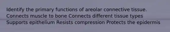 Identify the primary functions of areolar connective tissue. Connects muscle to bone Connects different tissue types Supports epithelium Resists compression Protects the epidermis