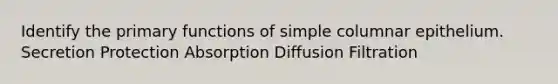 Identify the primary functions of simple columnar epithelium. Secretion Protection Absorption Diffusion Filtration