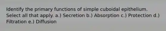 Identify the primary functions of simple cuboidal epithelium. Select all that apply. a.) Secretion b.) Absorption c.) Protection d.) Filtration e.) Diffusion