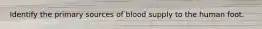 Identify the primary sources of blood supply to the human foot.