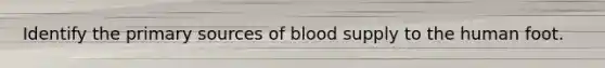 Identify the primary sources of blood supply to the human foot.