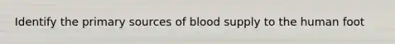 Identify the primary sources of blood supply to the human foot