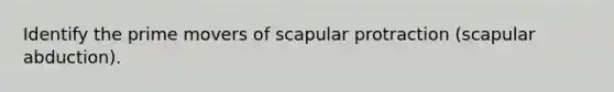 Identify the prime movers of scapular protraction (scapular abduction).