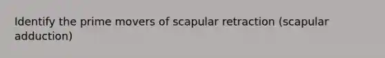 Identify the prime movers of scapular retraction (scapular adduction)