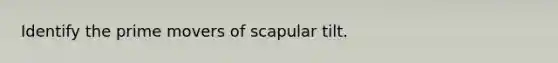 Identify the prime movers of scapular tilt.