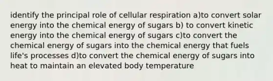 identify the principal role of cellular respiration a)to convert solar energy into the chemical energy of sugars b) to convert kinetic energy into the chemical energy of sugars c)to convert the chemical energy of sugars into the chemical energy that fuels life's processes d)to convert the chemical energy of sugars into heat to maintain an elevated body temperature