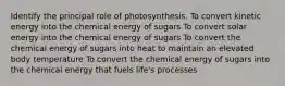 Identify the principal role of photosynthesis. To convert kinetic energy into the chemical energy of sugars To convert solar energy into the chemical energy of sugars To convert the chemical energy of sugars into heat to maintain an elevated body temperature To convert the chemical energy of sugars into the chemical energy that fuels life's processes