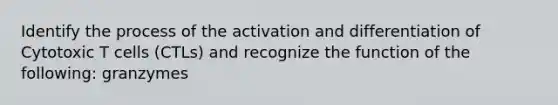 Identify the process of the activation and differentiation of Cytotoxic T cells (CTLs) and recognize the function of the following: granzymes