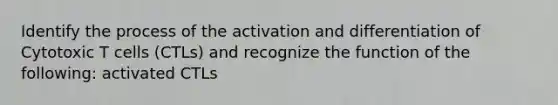 Identify the process of the activation and differentiation of Cytotoxic T cells (CTLs) and recognize the function of the following: activated CTLs