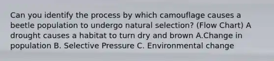 Can you identify the process by which camouflage causes a beetle population to undergo natural selection? (Flow Chart) A drought causes a habitat to turn dry and brown A.Change in population B. Selective Pressure C. Environmental change