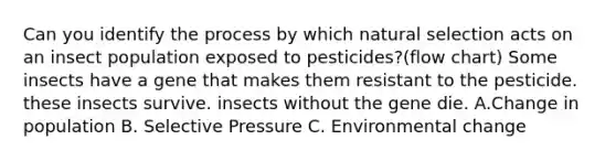 Can you identify the process by which natural selection acts on an insect population exposed to pesticides?(flow chart) Some insects have a gene that makes them resistant to the pesticide. these insects survive. insects without the gene die. A.Change in population B. Selective Pressure C. Environmental change