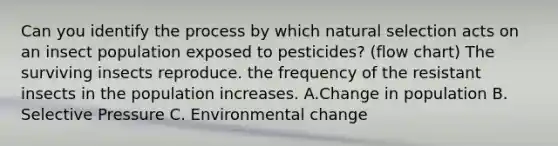 Can you identify the process by which natural selection acts on an insect population exposed to pesticides? (flow chart) The surviving insects reproduce. the frequency of the resistant insects in the population increases. A.Change in population B. Selective Pressure C. Environmental change