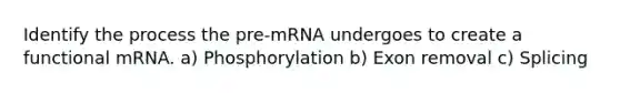 Identify the process the pre-mRNA undergoes to create a functional mRNA. a) Phosphorylation b) Exon removal c) Splicing