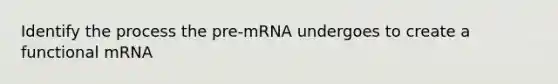 Identify the process the pre-mRNA undergoes to create a functional mRNA