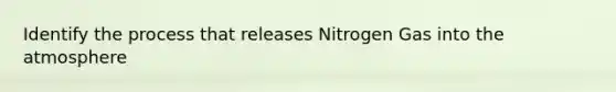 Identify the process that releases Nitrogen Gas into the atmosphere