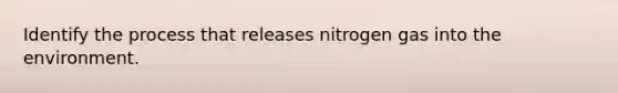 Identify the process that releases nitrogen gas into the environment.