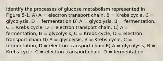 Identify the processes of glucose metabolism represented in Figure 5-1. A) A = electron transport chain, B = Krebs cycle, C = glycolysis, D = fermentation B) A = glycolysis, B = fermentation, C = Krebs cycle, D = electron transport chain. C) A = fermentation, B = glycolysis, C = Krebs cycle, D = electron transport chain D) A = glycolysis, B = Krebs cycle, C = fermentation, D = electron transport chain E) A = glycolysis, B = Krebs cycle, C = electron transport chain, D = fermentation