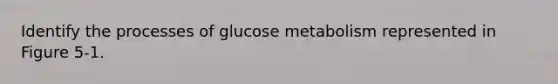 Identify the processes of glucose metabolism represented in Figure 5-1.