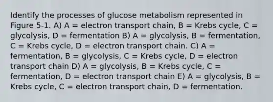 Identify the processes of glucose metabolism represented in Figure 5-1. A) A = electron transport chain, B = Krebs cycle, C = glycolysis, D = fermentation B) A = glycolysis, B = fermentation, C = Krebs cycle, D = electron transport chain. C) A = fermentation, B = glycolysis, C = Krebs cycle, D = electron transport chain D) A = glycolysis, B = Krebs cycle, C = fermentation, D = electron transport chain E) A = glycolysis, B = Krebs cycle, C = electron transport chain, D = fermentation.