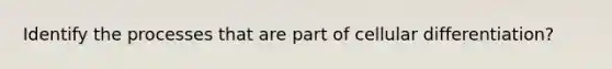 Identify the processes that are part of cellular differentiation?