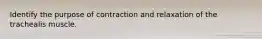 Identify the purpose of contraction and relaxation of the trachealis muscle.