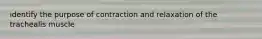 identify the purpose of contraction and relaxation of the trachealis muscle