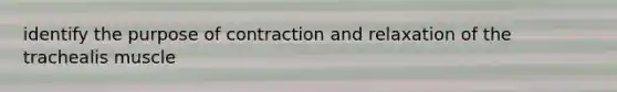 identify the purpose of contraction and relaxation of the trachealis muscle