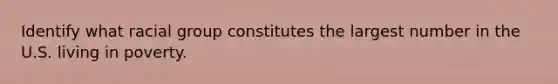 Identify what racial group constitutes the largest number in the U.S. living in poverty.