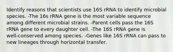 Identify reasons that scientists use 16S rRNA to identify microbial species. -The 16s rRNA gene is the most variable sequence among different microbial strains. -Parent cells pass the 16S rRNA gene to every daughter cell. -The 16S rRNA gene is well‑conserved among species. -Genes like 16S rRNA can pass to new lineages through horizontal transfer.