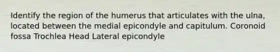 Identify the region of the humerus that articulates with the ulna, located between the medial epicondyle and capitulum. Coronoid fossa Trochlea Head Lateral epicondyle