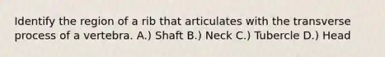 Identify the region of a rib that articulates with the transverse process of a vertebra. A.) Shaft B.) Neck C.) Tubercle D.) Head