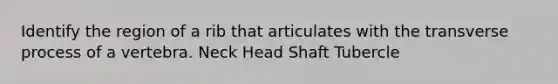 Identify the region of a rib that articulates with the transverse process of a vertebra. Neck Head Shaft Tubercle