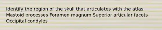 Identify the region of the skull that articulates with the atlas. Mastoid processes Foramen magnum Superior articular facets Occipital condyles